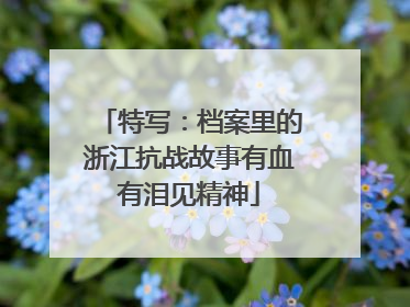 特写：档案里的浙江抗战故事有血有泪见精神