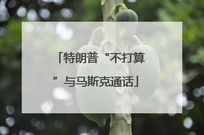 特朗普“不打算”与马斯克通话