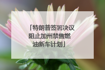 特朗普签署决议 阻止加州禁售燃油新车计划