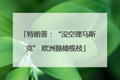 特朗普：“没空理马斯克” 欧洲抛橄榄枝