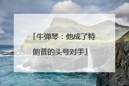 牛弹琴：他成了特朗普的头号对手