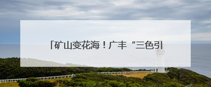 矿山变花海！广丰“三色引擎”催生乡村振兴新图景