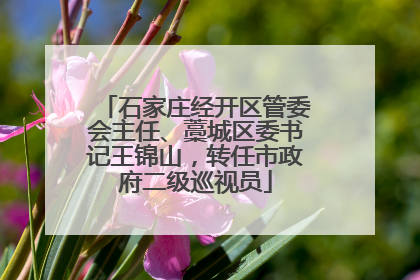 石家庄经开区管委会主任、藁城区委书记王锦山，转任市政府二级巡视员