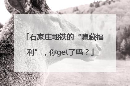 石家庄地铁的“隐藏福利”，你get了吗？