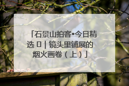 石景山拍客•今日精选 ㉓｜镜头里铺展的烟火画卷（上）