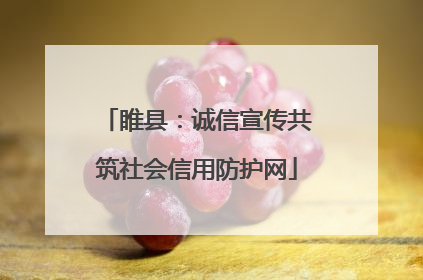 睢县：诚信宣传共筑社会信用防护网