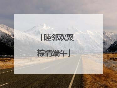 睦邻欢聚 粽情端午