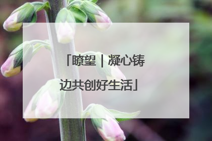瞭望｜凝心铸边共创好生活