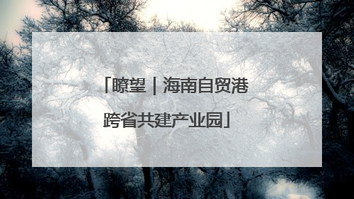 瞭望｜海南自贸港跨省共建产业园