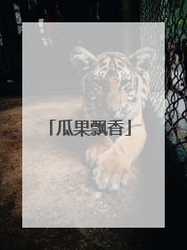 瓜果飘香