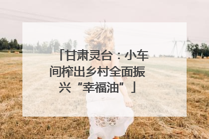 甘肃灵台：小车间榨出乡村全面振兴“幸福油”