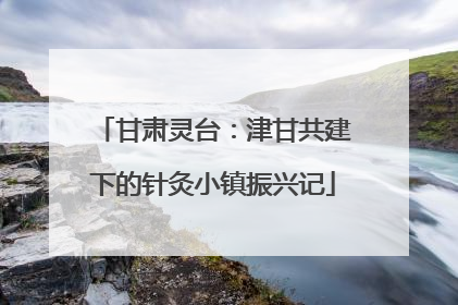 甘肃灵台：津甘共建下的针灸小镇振兴记