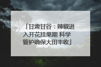 甘肃甘谷：辣椒进入开花挂果期 科学管护确保大田丰收