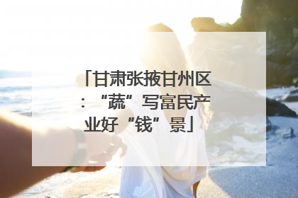 甘肃张掖甘州区：“蔬”写富民产业好“钱”景