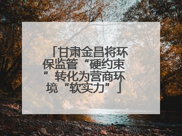 甘肃金昌将环保监管“硬约束”转化为营商环境“软实力”