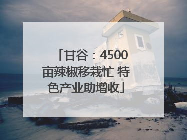 甘谷：4500亩辣椒移栽忙 特色产业助增收