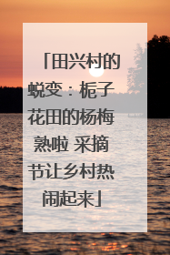 田兴村的蜕变：栀子花田的杨梅熟啦 采摘节让乡村热闹起来
