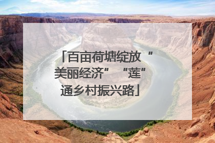 百亩荷塘绽放“美丽经济”“莲”通乡村振兴路