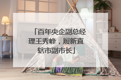 百年央企副总经理王秀峰，履新直辖市副市长