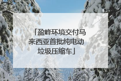 盈峰环境交付马来西亚首批纯电动垃圾压缩车