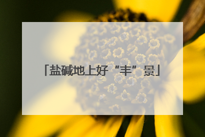 盐碱地上好“丰”景