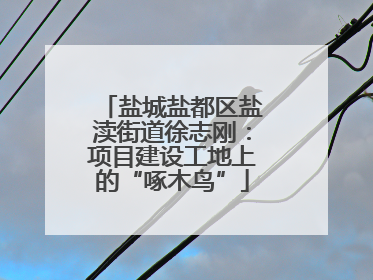 盐城盐都区盐渎街道徐志刚：项目建设工地上的“啄木鸟”