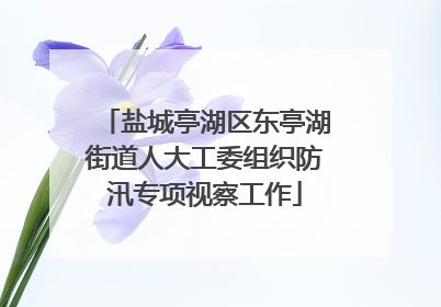 盐城亭湖区东亭湖街道人大工委组织防汛专项视察工作