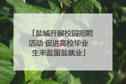 盐城开展校园招聘活动 促进高校毕业生来盐留盐就业