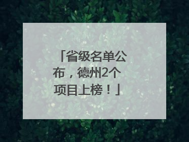 省级名单公布，德州2个项目上榜！