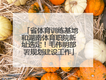 省体育训练基地和湖南体育职院新址选定！毛伟明部署规划建设工作
