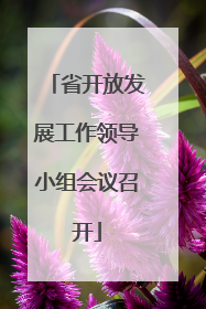 省开放发展工作领导小组会议召开