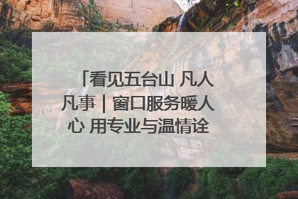 看见五台山 凡人凡事｜窗口服务暖人心 用专业与温情诠释责任担当
