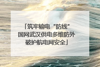 筑牢输电“防线” 国网武汉供电多维防外破护航电网安全