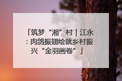 筑梦“湘”村｜江永：肉鸽振翅绘就乡村振兴“金羽画卷”