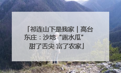祁连山下是我家｜高台东庄：沙地“露水瓜” 甜了舌尖 富了农家