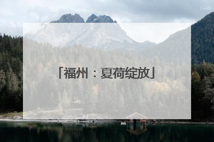 福州：夏荷绽放