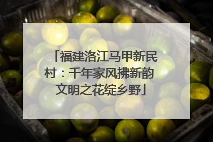 福建洛江马甲新民村：千年家风拂新韵 文明之花绽乡野