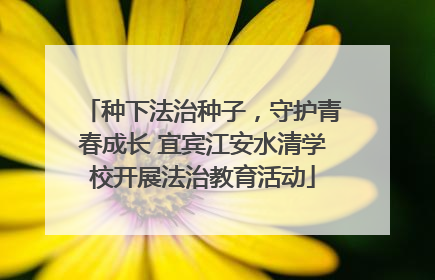 种下法治种子，守护青春成长 宜宾江安水清学校开展法治教育活动