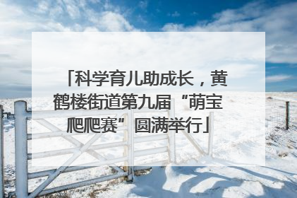 科学育儿助成长，黄鹤楼街道第九届“萌宝爬爬赛”圆满举行