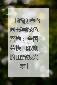 稻浪鸭鸣间书写绿色答卷：全国劳模田淑娴的田野振兴梦