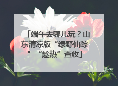 端午去哪儿玩？山东清凉版“绿野仙踪”“趁热”查收