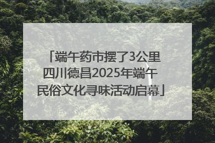 端午药市摆了3公里 四川德昌2025年端午民俗文化寻味活动启幕