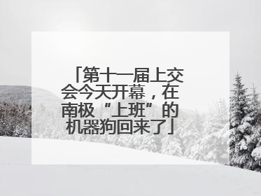 第十一届上交会今天开幕，在南极“上班”的机器狗回来了