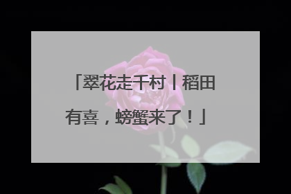 翠花走千村丨稻田有喜，螃蟹来了！