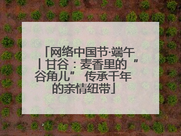 网络中国节·端午丨甘谷：麦香里的“谷角儿” 传承千年的亲情纽带