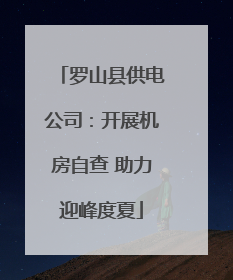 罗山县供电公司：开展机房自查 助力迎峰度夏