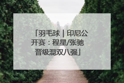 羽毛球｜印尼公开赛：程星/张驰晋级混双八强