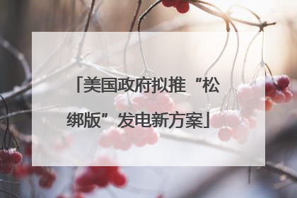 美国政府拟推“松绑版”发电新方案