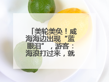美轮美奂！威海海边出现“蓝眼泪”，游客：海浪打过来，就像星河一样