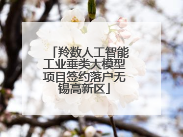 羚数人工智能工业垂类大模型项目签约落户无锡高新区